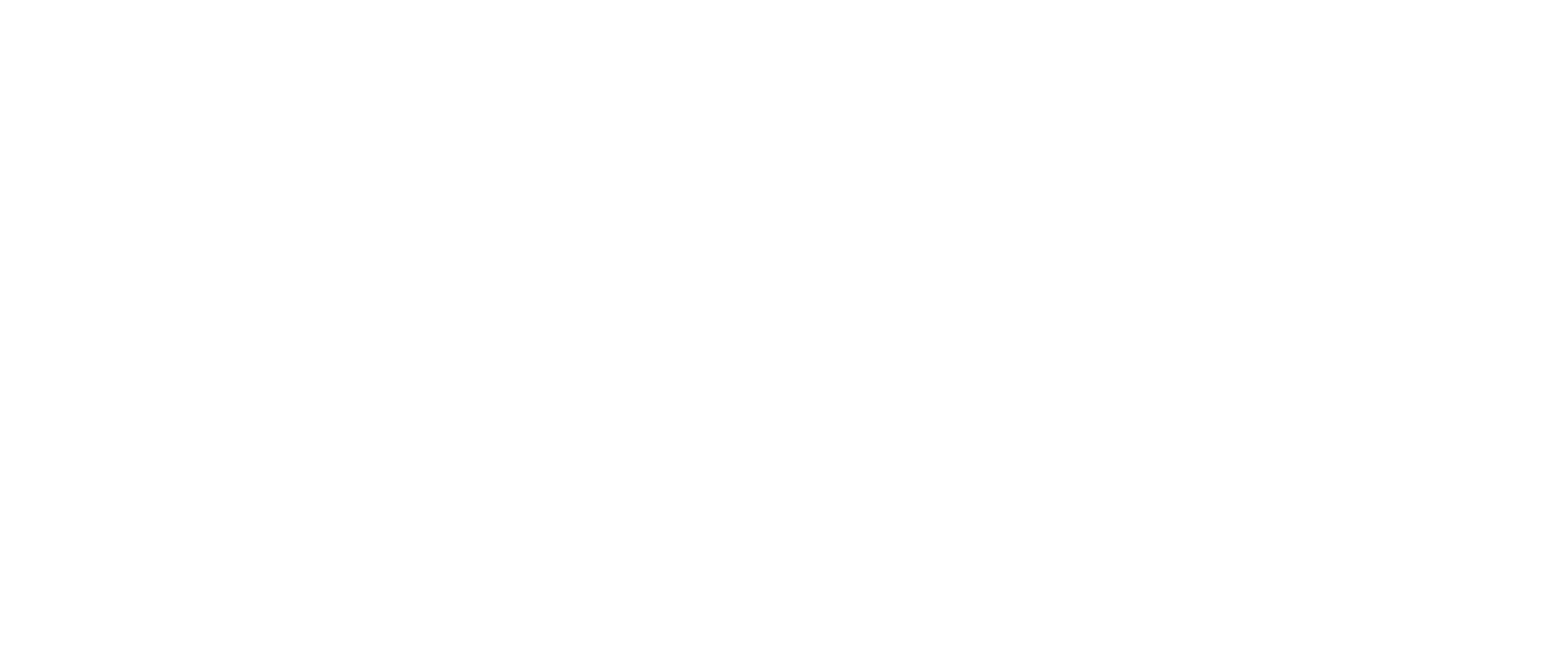 Zindler Media logo